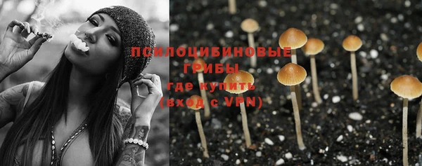 эйфоретик Заводоуковск